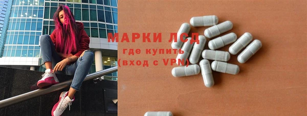 прущие грибы Бородино