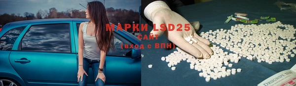 прущие грибы Бородино