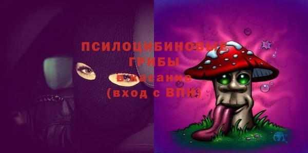 прущие грибы Бородино