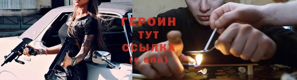 прущие грибы Бородино