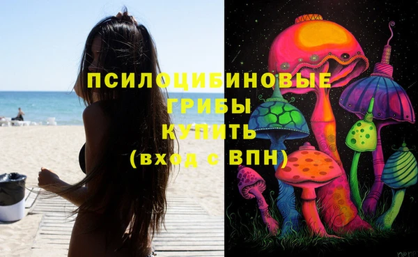 прущие грибы Бородино