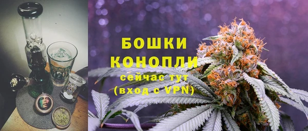 прущие грибы Бородино