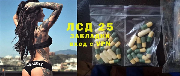 прущие грибы Бородино